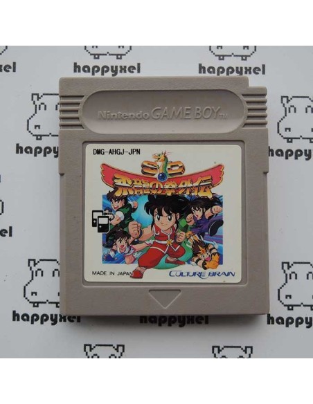 Hiryu No Ryu Game boy