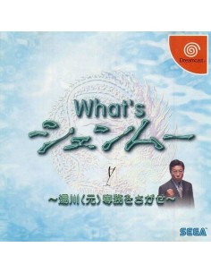 What's Shenmue Dreamcast