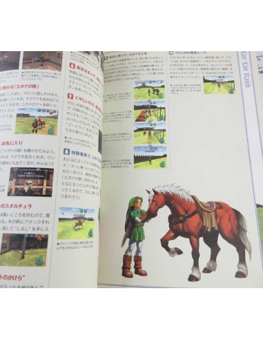 Zelda Guide de jeu