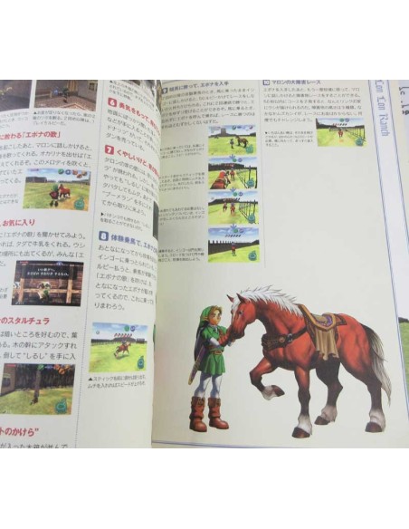 Zelda Game Guide Book