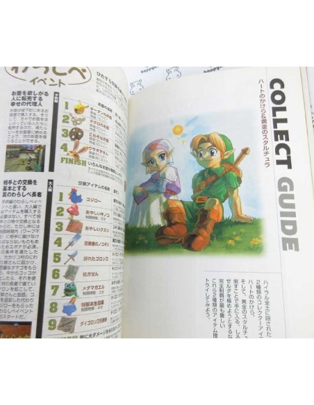 Zelda Game Guide Book